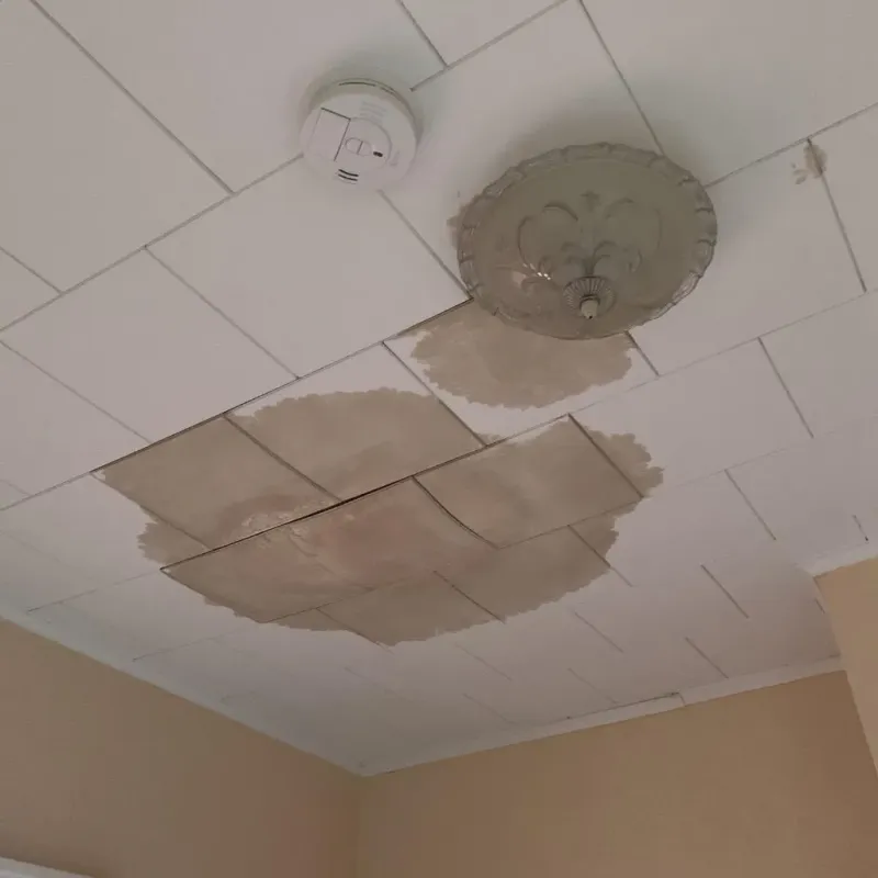 Ceiling Water Damage Repair in Lovington, IL