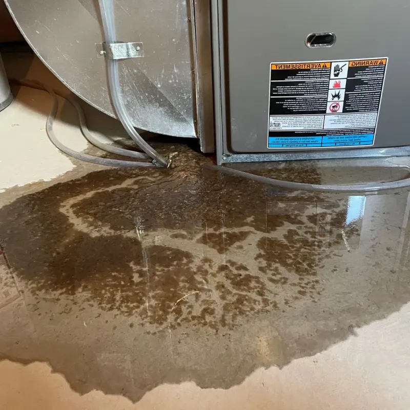 Pipe Burst and Leak Restoration in Lovington, IL