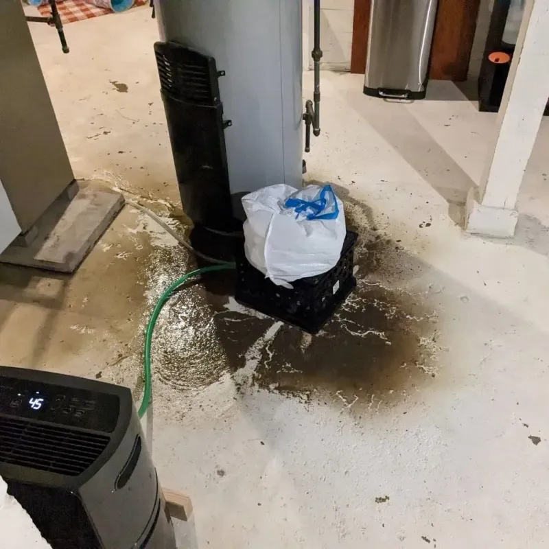 Sewage Backup Cleanup Service in Lovington, IL